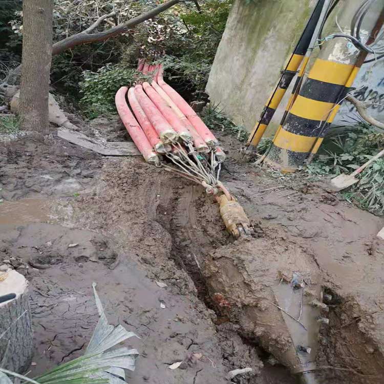 石嘴山武汉焊接涂装线拖拉管